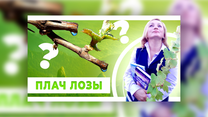 Превью для ролика на ютубе