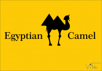 Египетский верблюд