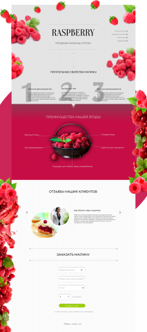 Сайт для продавца ягод