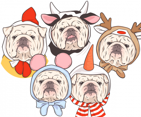 bulldogs