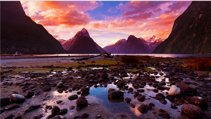 New Zealand dialect