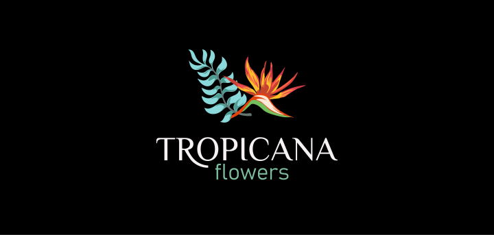 Логотип | Tropicana