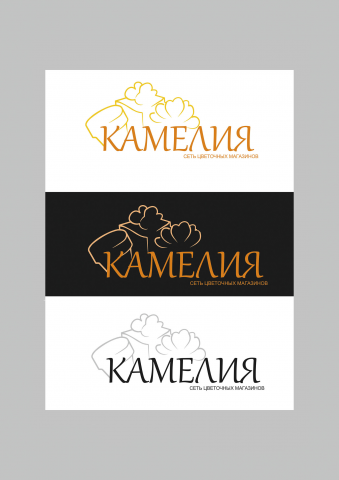 Работа 3166776