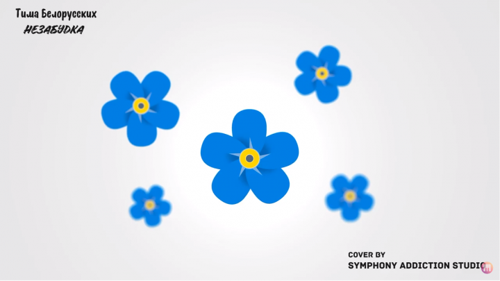 Тима Белорусских - Незабудка