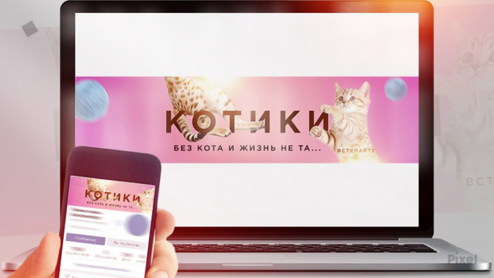 Котики