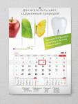 Квартальный календарь "SmartBleach". Отбеливание зубов
