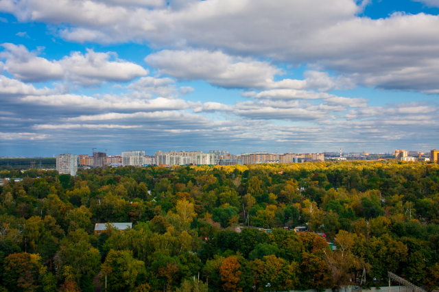 Работа 3361519
