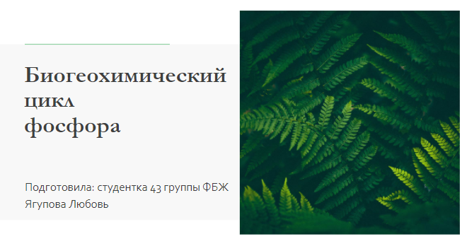 Биогеохимический цикл фосфора