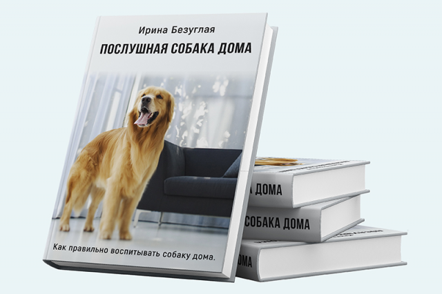 Обложка книги "Послушная собака дома"