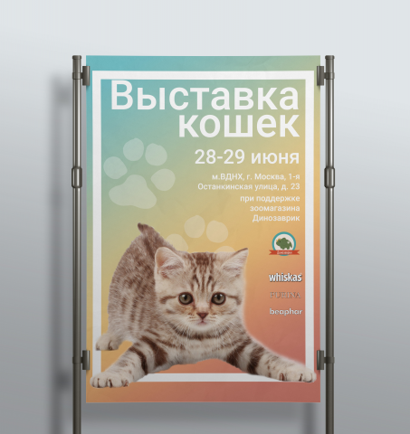 Выставка кошек на мокапе