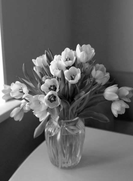 pic4262057.jpg