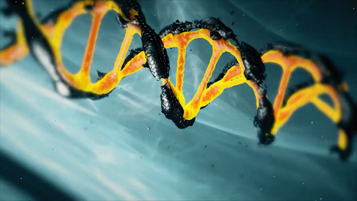 DNA
