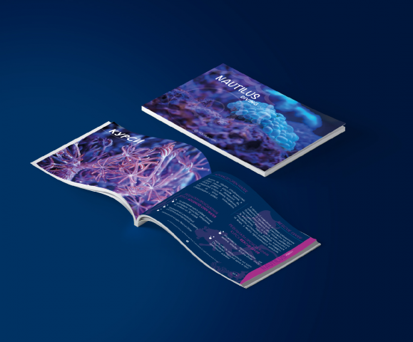 Фирменный каталог