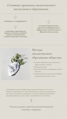Фрагмент презентации проекта