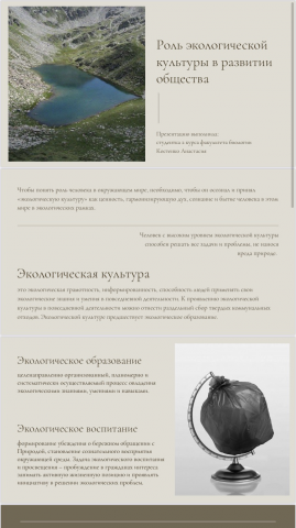 Фрагмент презентации
