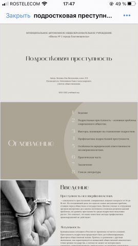 Фрагмент презентации школьного проекта