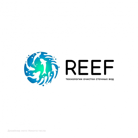 Reef