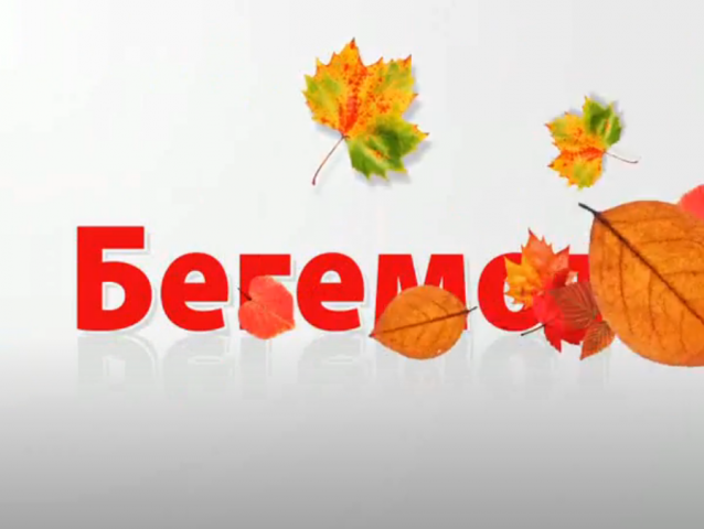 Заставка к серии осенних роликов для м-на Бегемот
