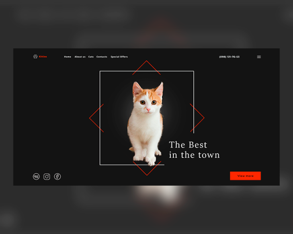 Зоомагазин Kitties