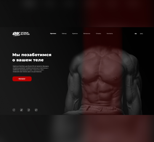 Интернет магазин спортивного питания