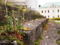 Природа vs. Цивилизация