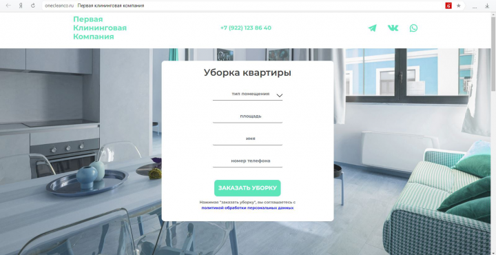 Первая клининговая компаия