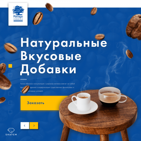 Сайт-визитка - Ravago Chemicals