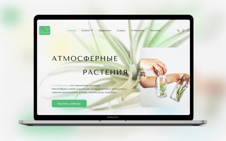 Атмосферные растения