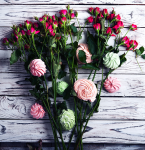 Работа 2683166