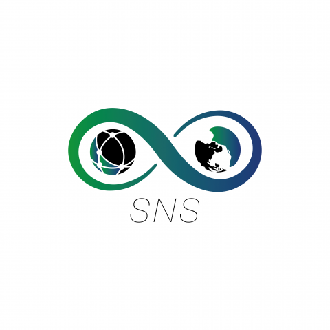 SNS