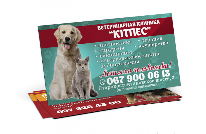 визитка