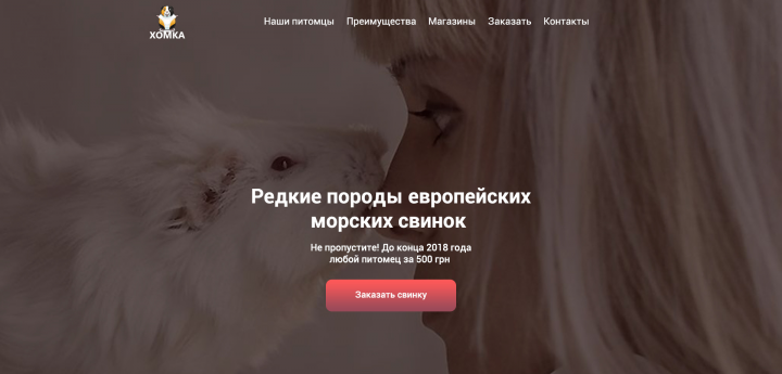 Лендинг для магазина "Хомка"