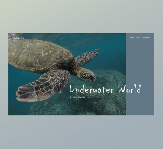 Underwater World