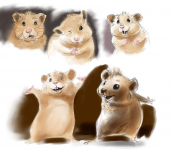 Hamster