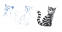 Кот