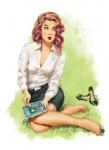 Pin up
