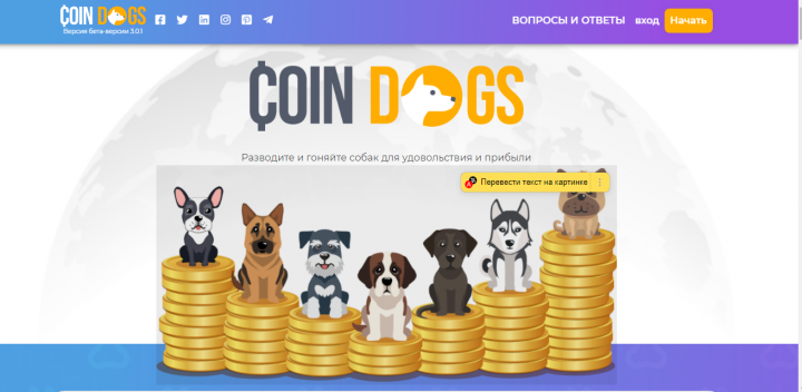 Лендинг на Тильде COINDOG