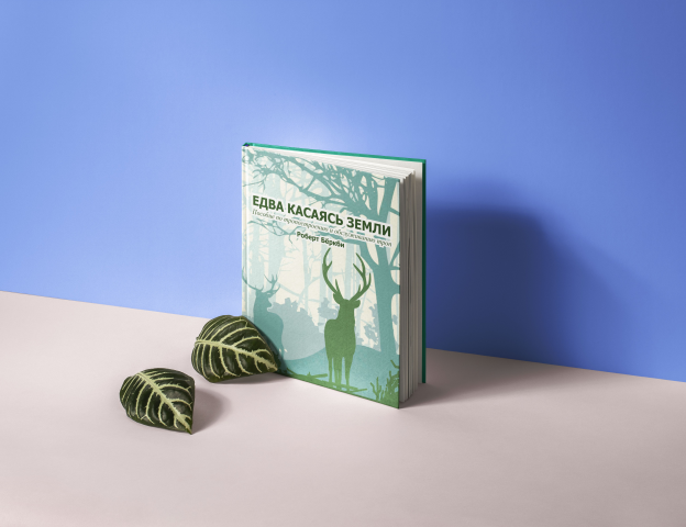 Обложка для книги