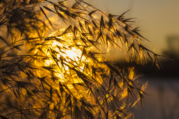 Осеннее солнце