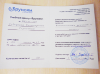 Диплом "Контекстная реклама и анализ" 2015