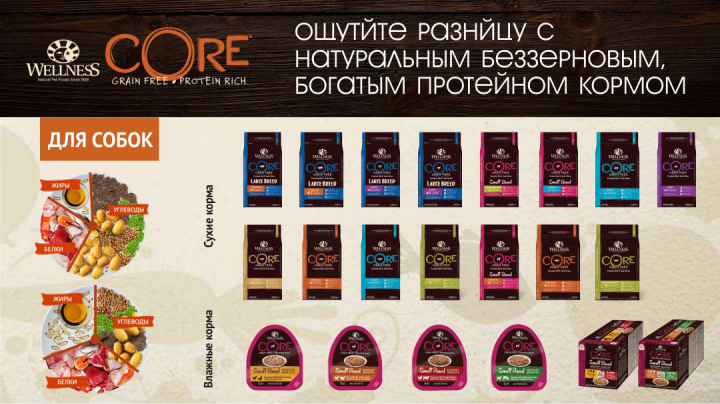 разработка рекламных баннеров для сайтов