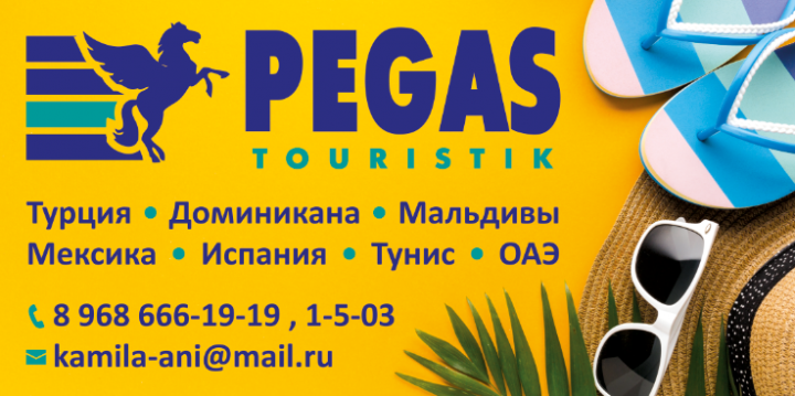 Баннер PEGAS