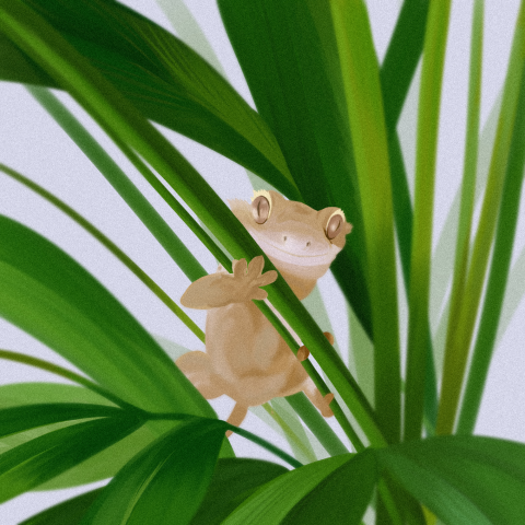 Иллюстрация "Бананоед"