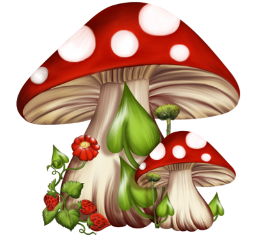 Мечты сбываются