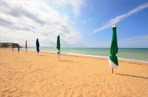 Лето, солнце и фрукты в Крыму есть. А как с курортным сезоном?