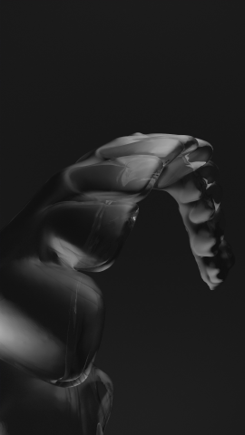 3d анимация Элайнера