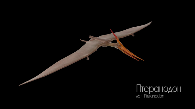 Персонажи для аттракциона(Pteranodon)