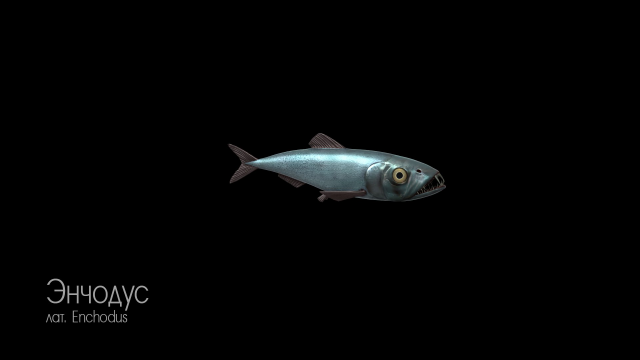 Персонажи для аттракциона(Enchodus)