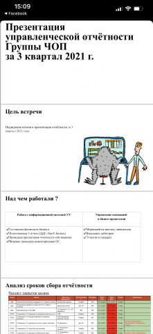 Презентация управленческой отчетности Группы ЧОП
