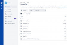 Google Api